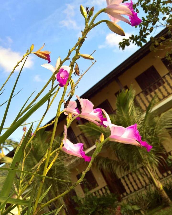 Pouso Bom Retiro Hotel Araquari Kültér fotó